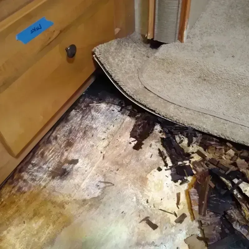 Wood Floor Water Damage in Oceanside, CA